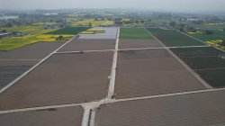 2023年(nián)高(gāo)标(biāo)準農田(tián)改造