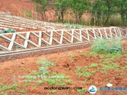 內(nèi)江市(shì)東(dōng)興區(qū)平坦鄉(xiāng)